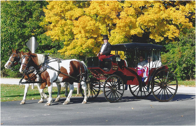 the rochester inn surprise or treat - carriage ride